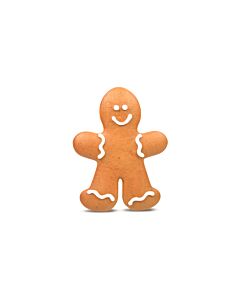 DECORATED GINGERBREADMAN
