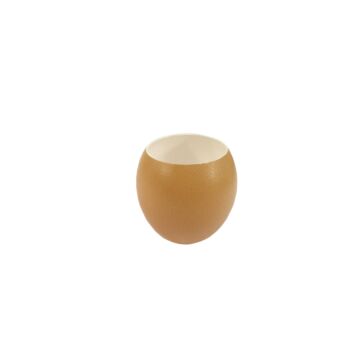 EMPTY EGGSHELLS