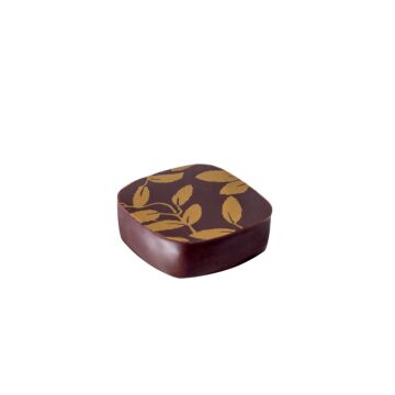 BONBON JASMINE TEA GANACHE