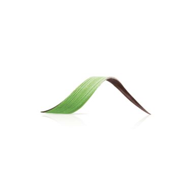 TWIST GREEN