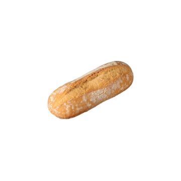 CIABATTINA RUSTICA