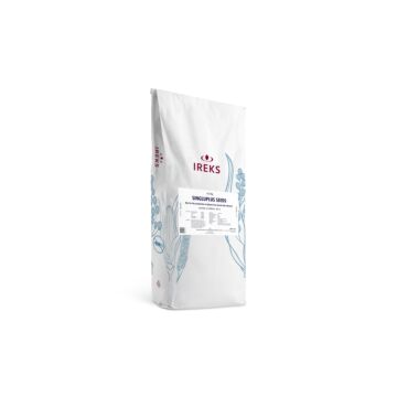 GLUTEN FREE SINGLUPLUS VITAL