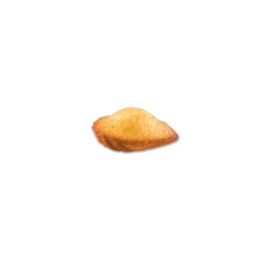 MINI PURE BUTTER MADELEINE