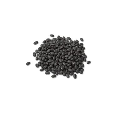 BLACK TURTLE BEANS