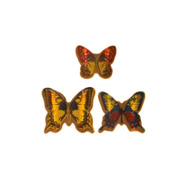 MILK BUTTERFLIES