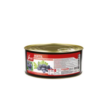 BLUEBERRY PASTE