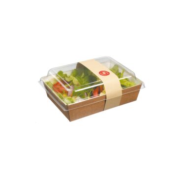1000ML SALAD BOX WITH LID & STRIPE
