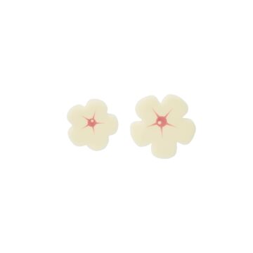 WHITE & PINK FLOWERS