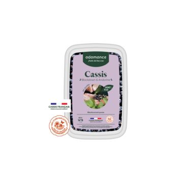 FROZEN BLACKCURRANT PURÉE