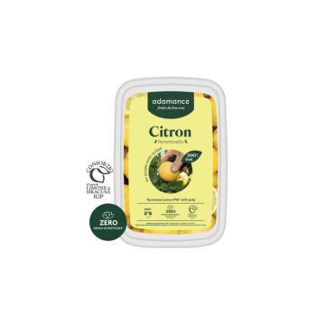 FROZEN LEMON PURÉE