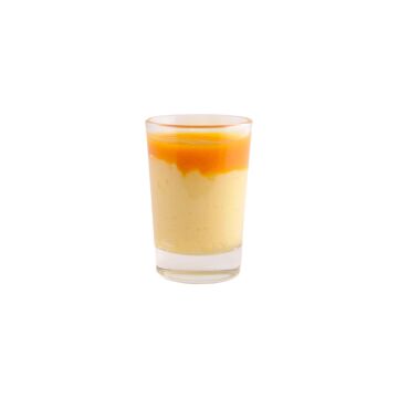 VEGAN MINI DESSERT CUP - TROPICAL MOUSSE & COULIS