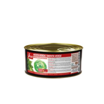 MINT CONCENTRATED PASTE
