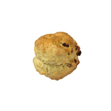 FRUIT SCONE