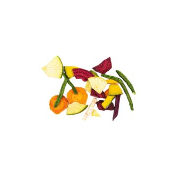 VEGETABLE CRISPS