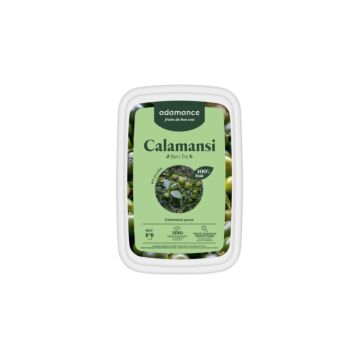 FROZEN CALAMANSI PUREE