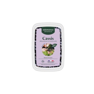 FROZEN BLACKCURRANT PURÉE